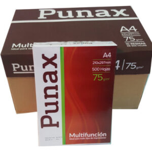 RESMA LEDESMA PUNAX A4 75GRS.