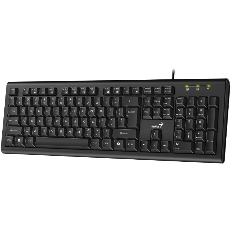 TECLADO GENIUS KB-113 USB