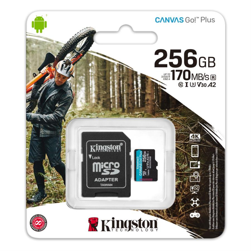 MEMORY CARD SD 256G V-30 KINGSTON CANVAS GO P