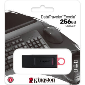 PEN DRIVE 256 GB KINGSTON